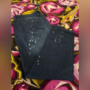 Melissa McCarthy Seven7 Jeans